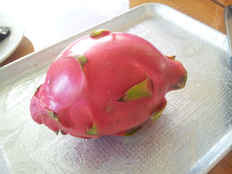 용과를 아시나요? (Hit:3879)