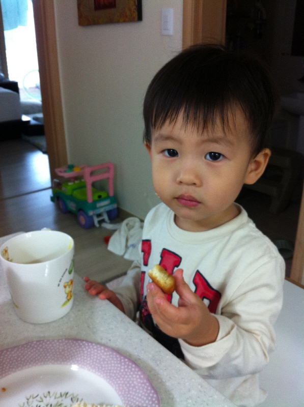 약과먹기 (Hit:4006)