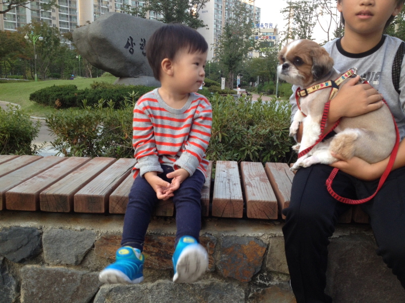 멍멍이와 눈빛교환중 (Hit:3986)