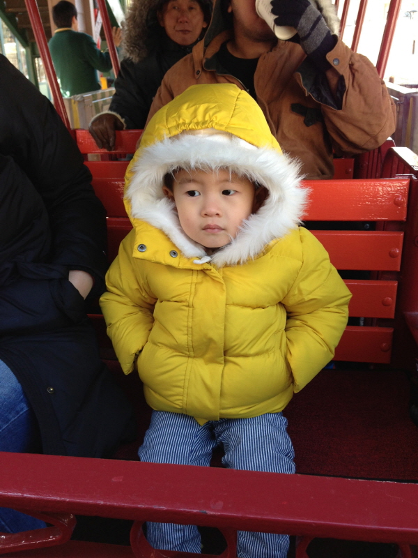 만사가 귀찮은 표정 (Hit:5976)