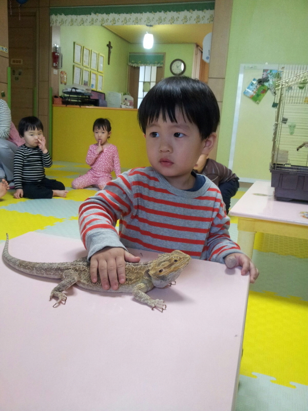 블루텅스킨크 ? (Hit:4707)