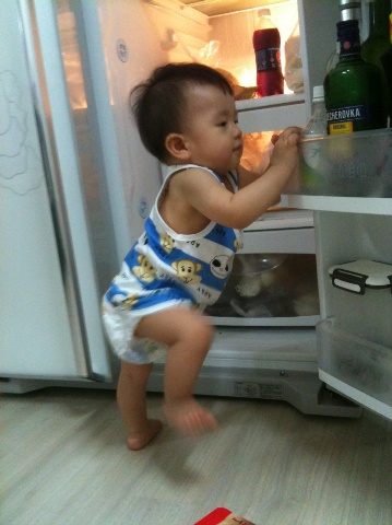 냉장고 (Hit:4373)