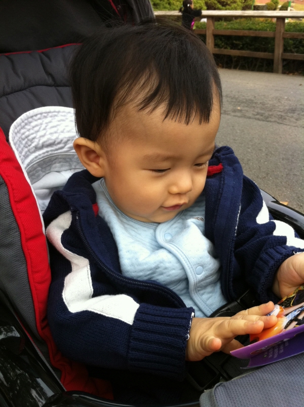 에버랜드 놀러간 김동하 (Hit:6136)