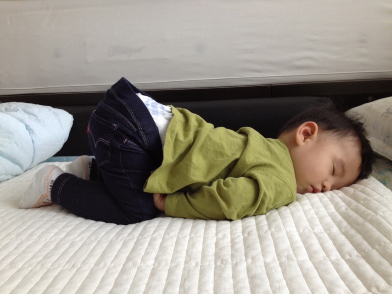 이런 자세로 어떻게 잠드나. (Hit:4113)