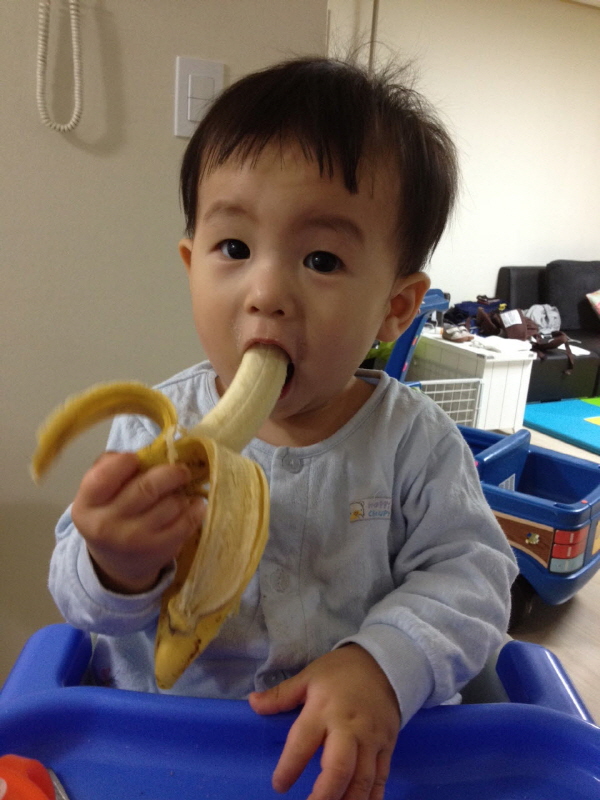 바나나 좋아하는 군. (Hit:4008)