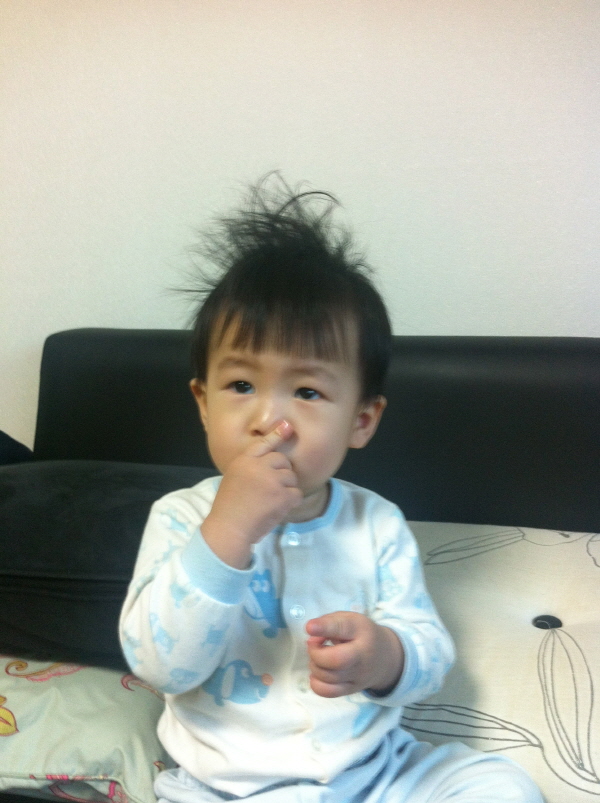 사진찍기가 참 어렵다. (Hit:4203)