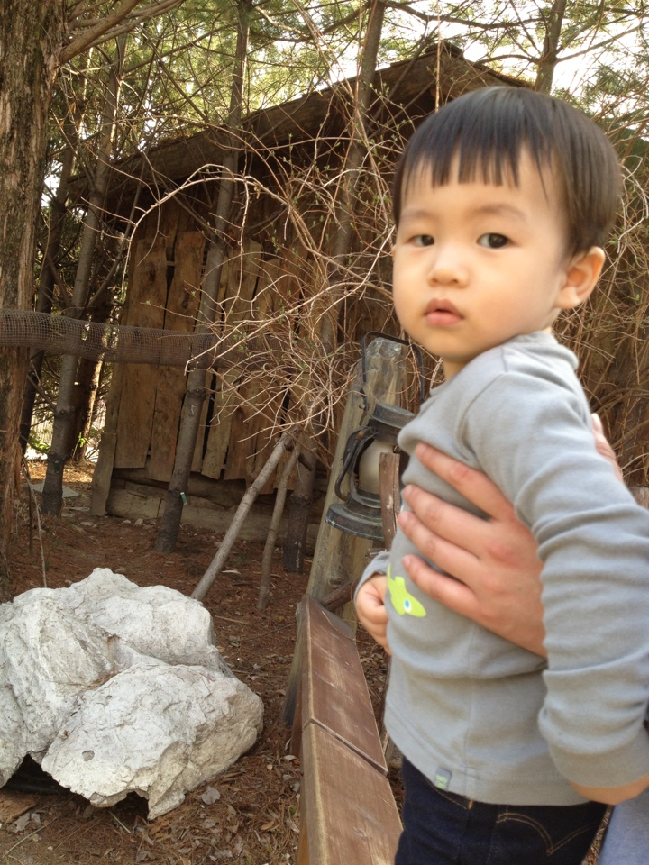 에버랜드에서 동물 구경하다 잠시. (Hit:3746)